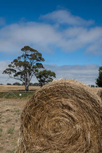 Hay bales on field against sky