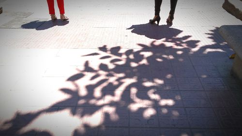 Low section of people standing on tiled floor