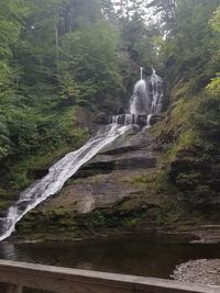 Water flowing over river in forest against sky