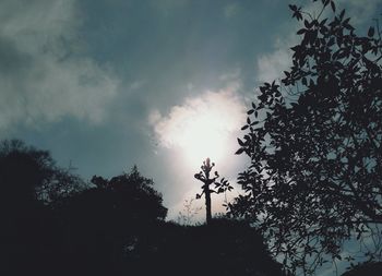 Low angle view of silhouette trees against sky