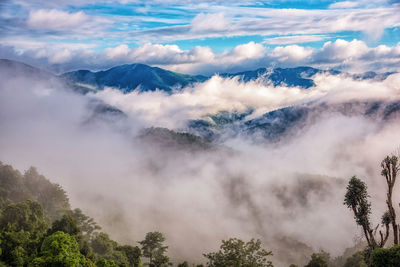 Scenic view of tree mountains against sky