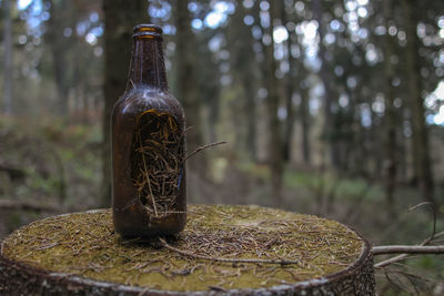 Close-up of bottle against trees