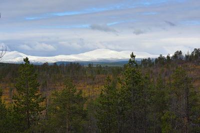 Scenic view of landscape against sky