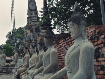 Statue of buddha in temple