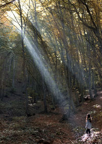 Woman standing by tree trunks in forest