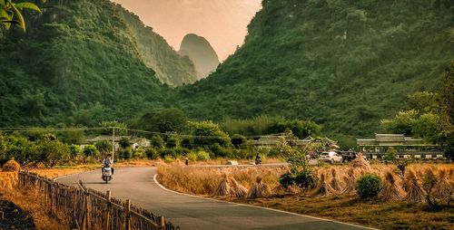 Man on road amidst trees