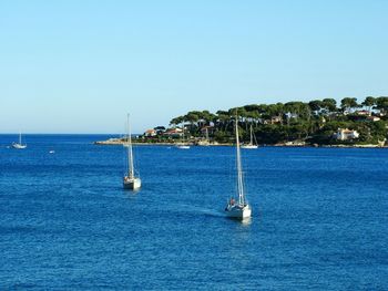 Sailboats sailing on sea against clear sky