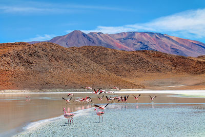 The landscapes from uyuni salt desert, bolivia