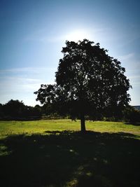 Silhouette trees on field against sky