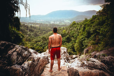 Rear view of man looking at mountains