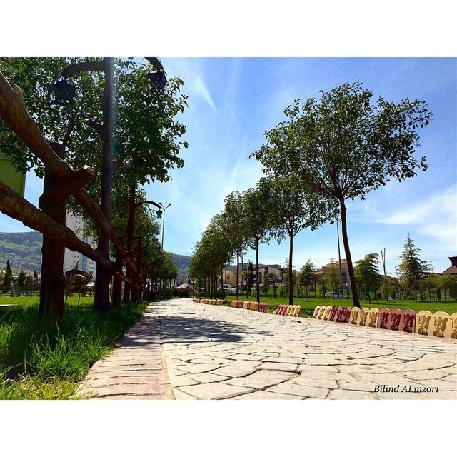 tree, the way forward, sky, transfer print, diminishing perspective, footpath, growth, sunlight, empty, auto post production filter, vanishing point, shadow, blue, treelined, walkway, park - man made space, tranquility, day, road, cloud