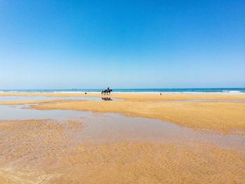 Scenic view of beach against clear sky