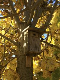 Close-up low angle view of birdhouse