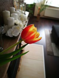 Close-up of white rose on table