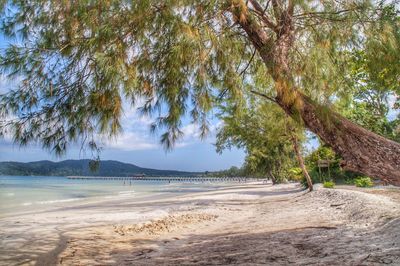 Scenic view of beach against sky