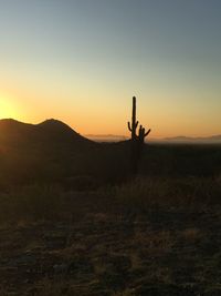 Silhouette cactus on field against sky during sunset