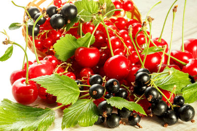 Close-up of cherries growing on plant