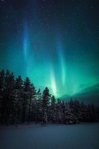 Scenic view of trees against aurora polaris at night