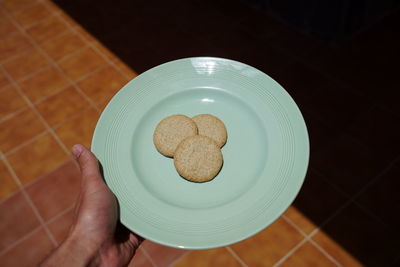 High angle view of person holding cookies