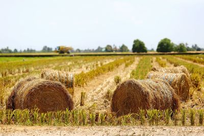 View of hay bales in field