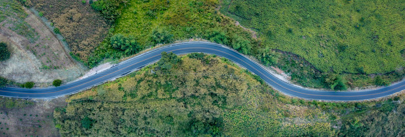 High angle view of road amidst trees