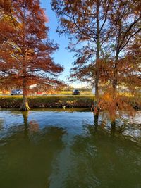 Trees by lake in park against sky during autumn