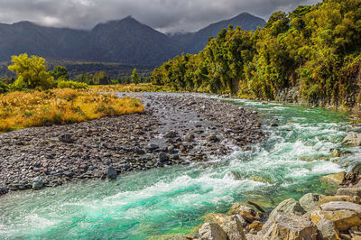 scenics - nature