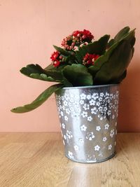 Close-up of potted plant on table against wall