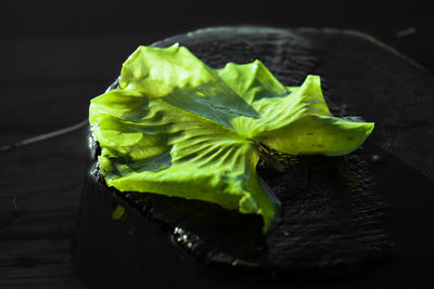 High angle view of green leaves on table