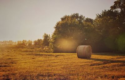 Hay bales on field against clear sky