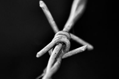 Close-up of barbed wire fence