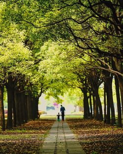 Rear view of people walking on footpath in park