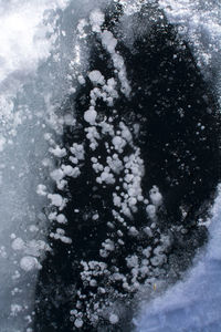 Digital composite image of snow covered plants