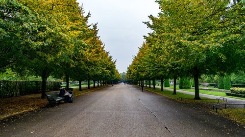 Road amidst trees against sky