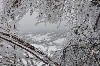 SNOW COVERED LANDSCAPE