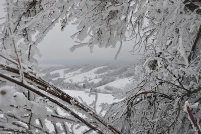 Scenic view of snow covered mountains