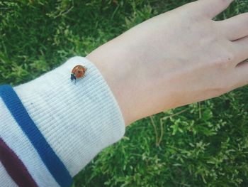 Low section of man with insect on grass