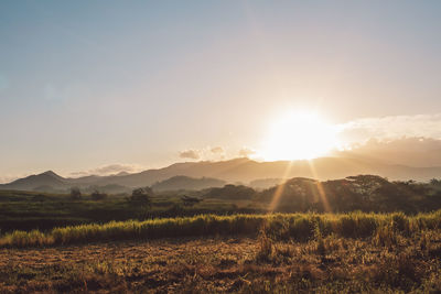 Scenic view of field against sky during sunset