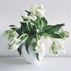 Close-up of flowers in vase