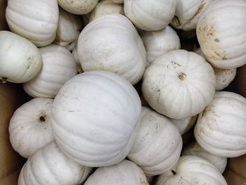 Full frame shot of onions for sale at market