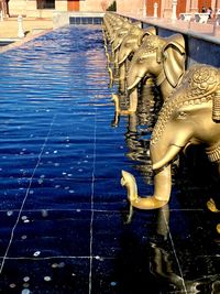 View of an animal sculpture in swimming pool