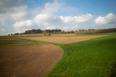 Scenic view of agricultural field against sky