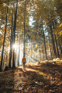 Woman stands and looks for new experiences. female hiker standing in the rays of the morning sun