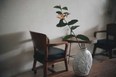 Potted plant on table at home