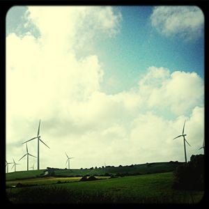 Wind turbines on field