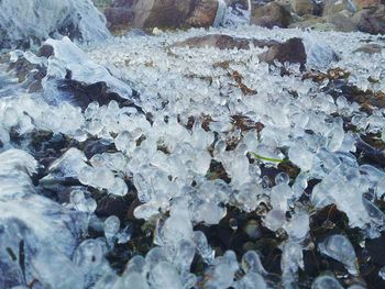 Snow covered rocks