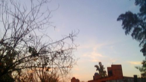 Low angle view of silhouette trees and buildings against sky