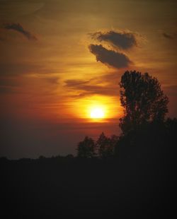 Silhouette of trees at sunset