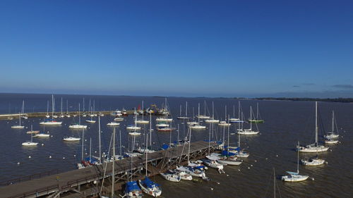 High angle view of harbor against clear blue sky