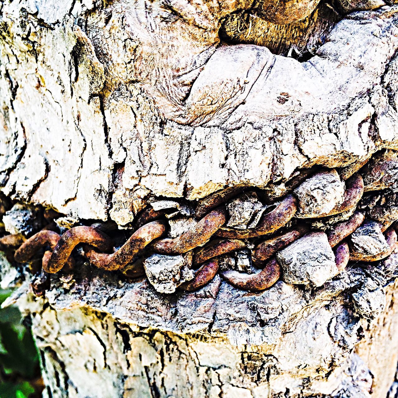 water, reflection, textured, nature, high angle view, day, close-up, outdoors, tree, no people, backgrounds, tree trunk, lake, full frame, branch, tranquility, wood - material, weathered, rock - object, old